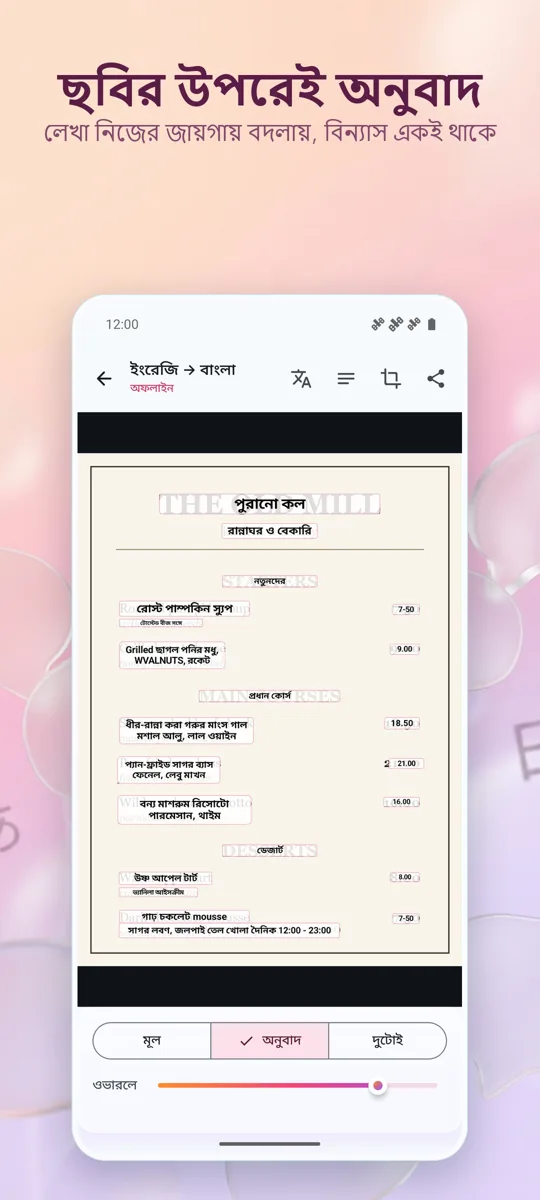 ক্যামেরা অনুবাদক: ছবি: স্ক্রিনশট 2