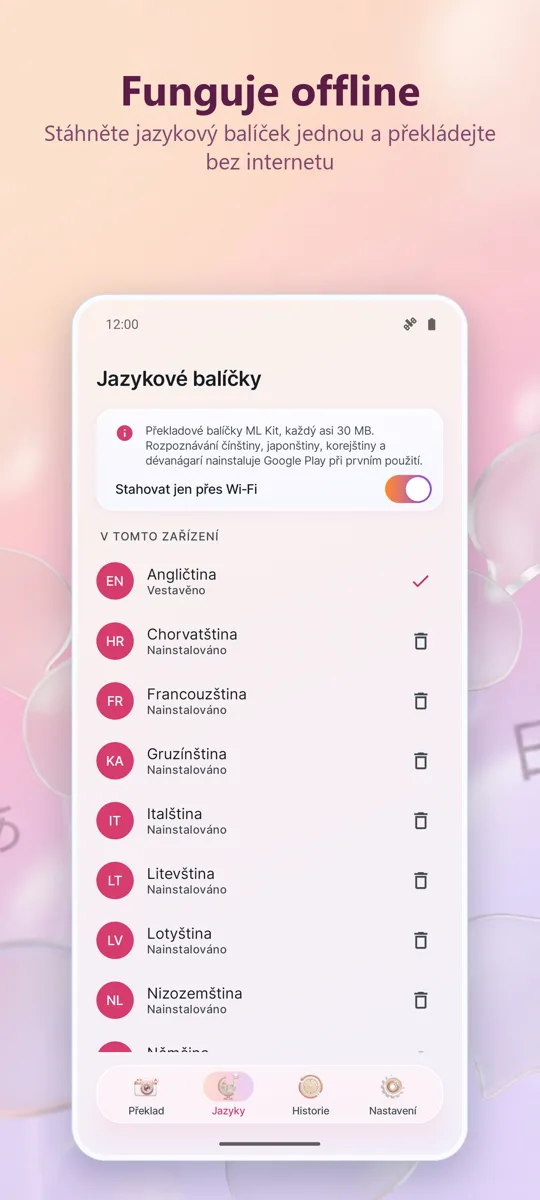 Překladač fotoaparátem: snímek obrazovky 4
