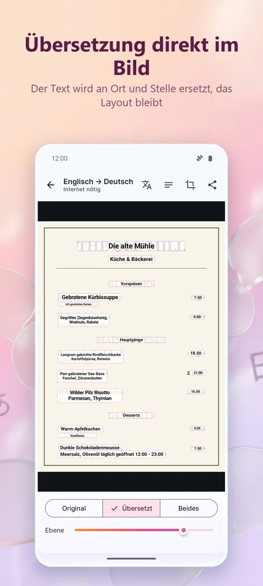 Kamera-Übersetzer: Foto: Screenshot 2