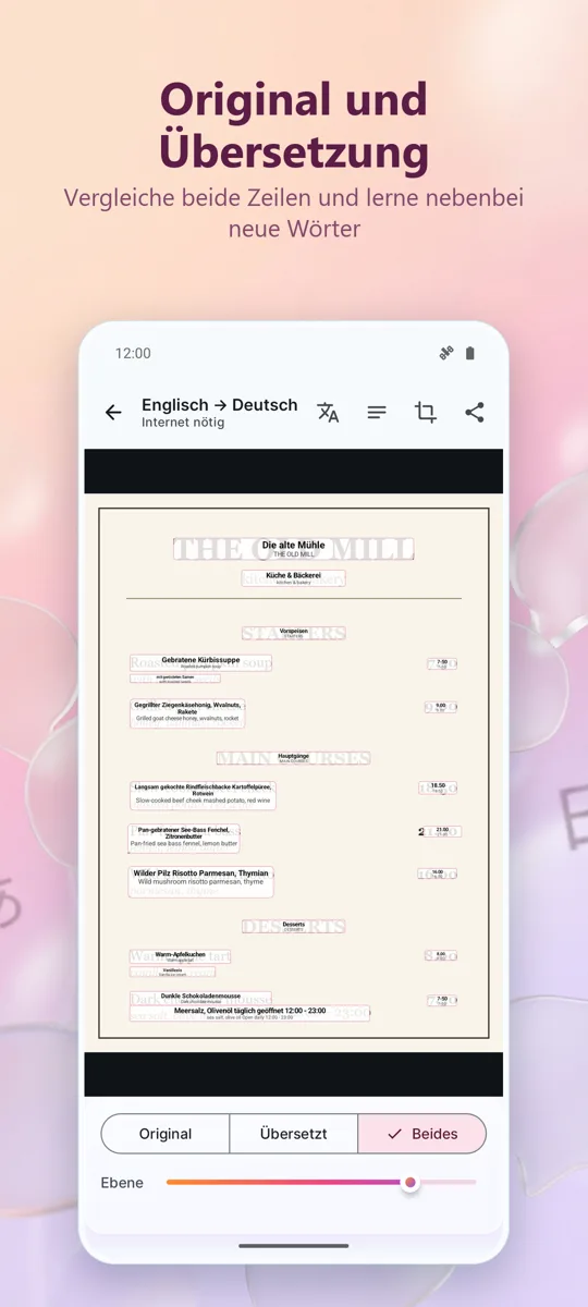 Kamera-Übersetzer: Foto: Screenshot 3