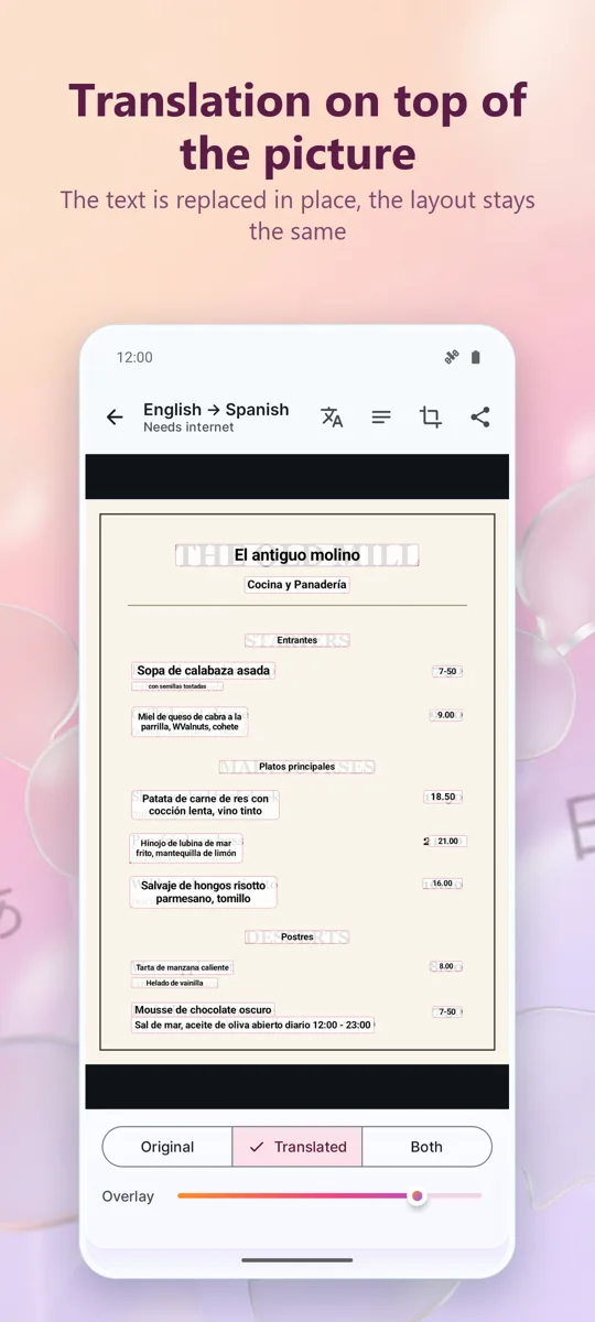 Camera Translator: Photo: screenshot 2