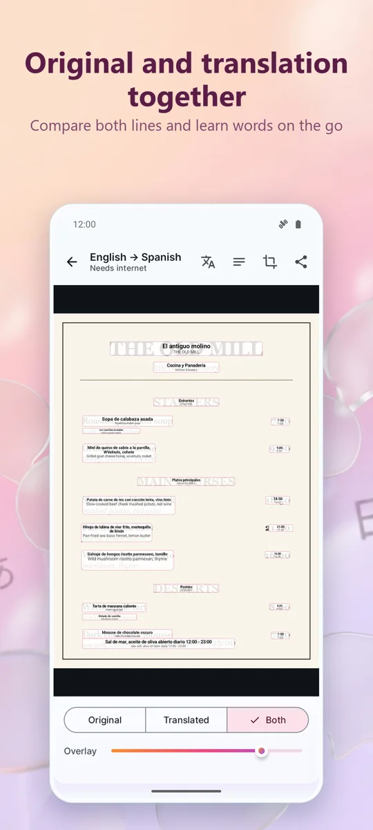 Camera Translator: Photo: screenshot 3