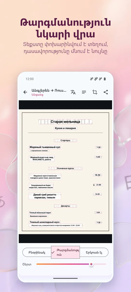 Տեսախցիկի Թարգմանիչ: Լուսանկար: սքրինշոթ 2