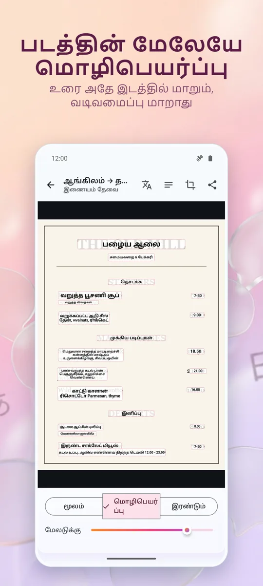 கேமரா மொழிபெயர்ப்பாளர்: படம்: ஸ்கிரீன்ஷாட் 2