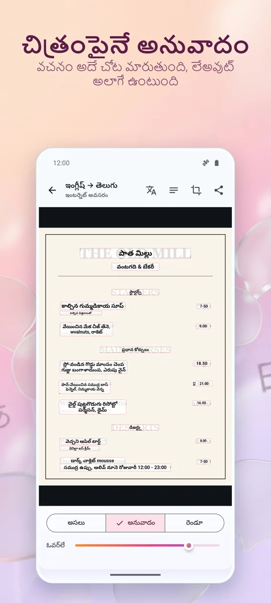 కెమెరా అనువాదకుడు: ఫోటో: స్క్రీన్షాట్ 2