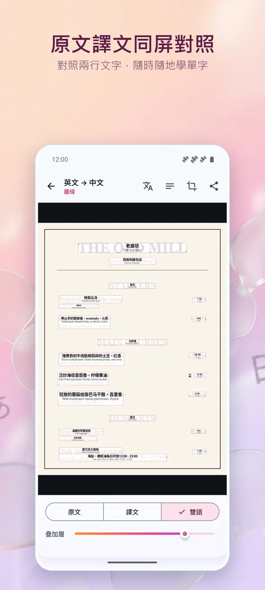 相機翻譯:照片: 螢幕截圖 3