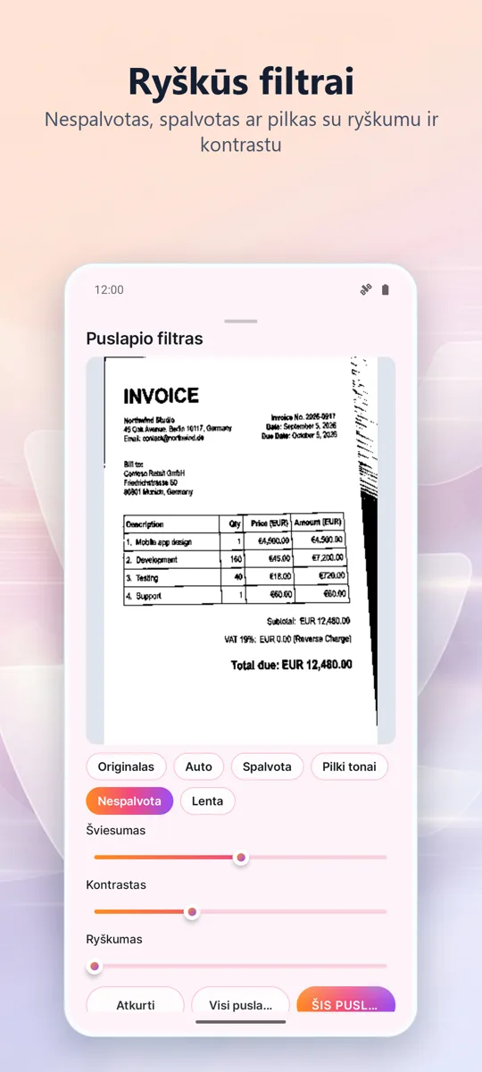 Dokumentų skaitytuvas: PDF: ekrano kopija 3