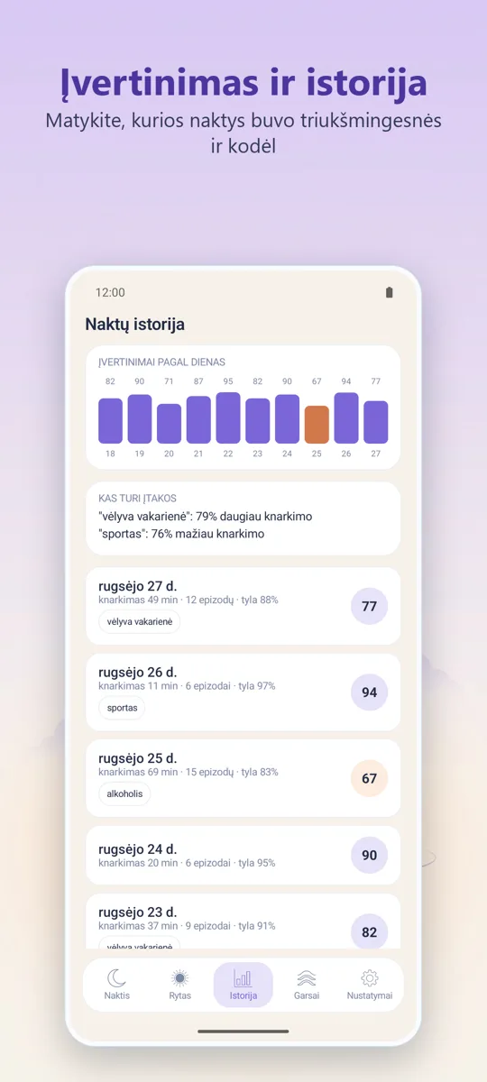 Naktinis diktofonas: ekrano kopija 3
