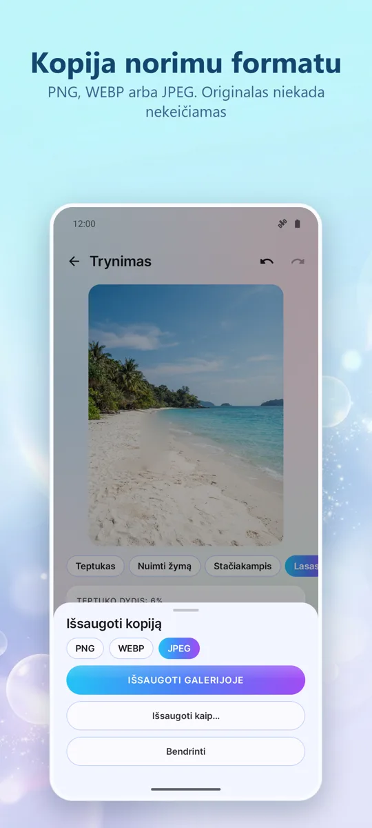 Objektų trintukas: Pašalinti: ekrano kopija 4