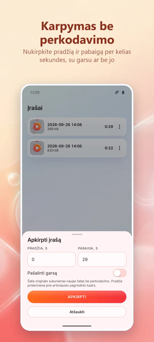 Ekrano įrašymas: HD įrašas: ekrano kopija 4