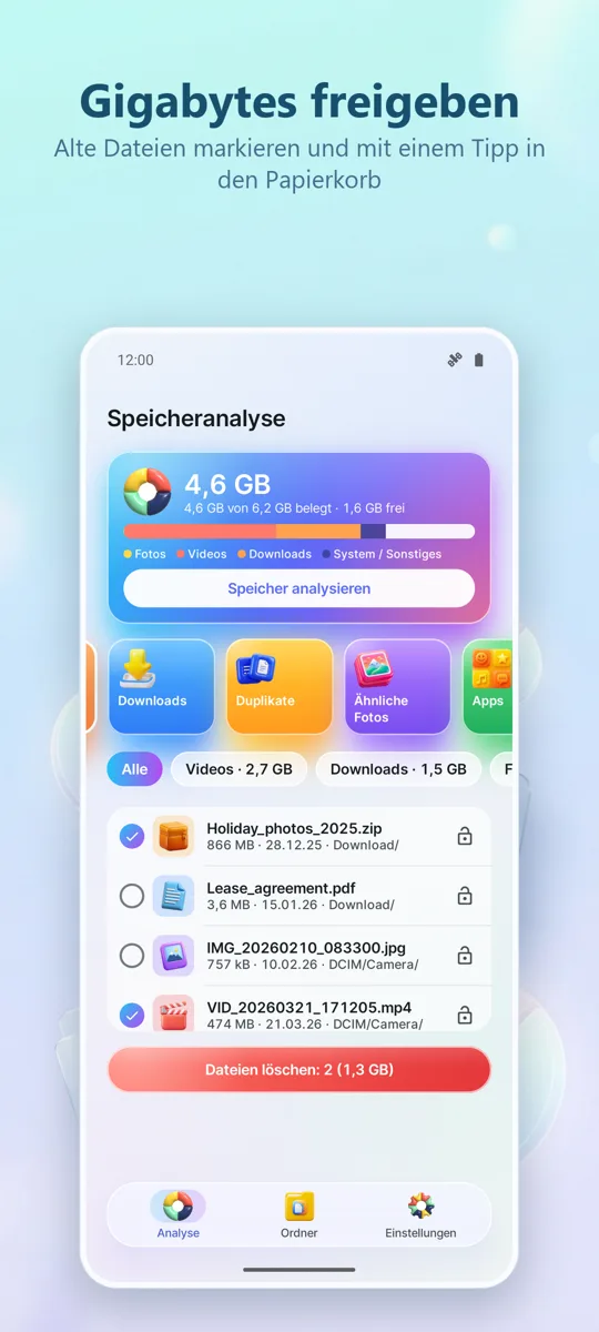 Speicheranalyse: Cleaner: Screenshot 4