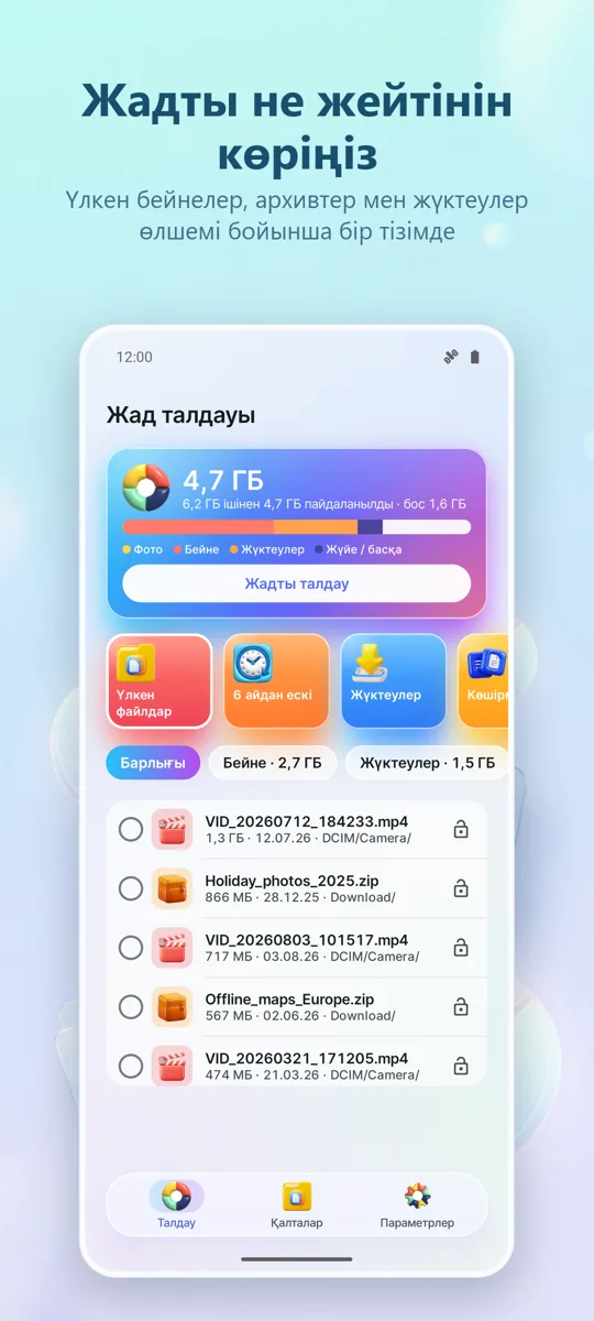 Жад талдағыш: Тазартқыш: негізгі экран
