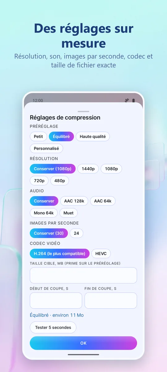 Compresseur Vidéo: capture d'écran 2